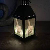 LED Laterne klein - Kätzchen Bild 4