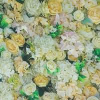 ♕ Jersey Viskose pastell mit Blumen Hortensien Rosen 50 cm x 150 cm Nähen Stoff ♕ Bild 1
