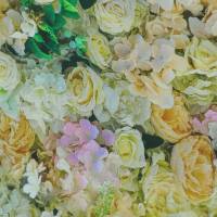 ♕ Jersey Viskose pastell mit Blumen Hortensien Rosen 50 cm x 150 cm Nähen Stoff ♕ Bild 2