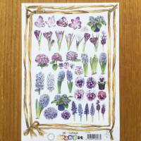 Bastelbogen Frühlingsblumen lila/violett, Motivpapier DIN A 5, Designpapier, 3 D Collage, Blumen Bild 1