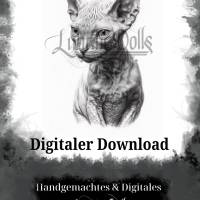 Digitaler Download Motiv "Sphynx Katze Zeichnung" Sublimation png 300dpi Kunstdruck Lineart Bild 2