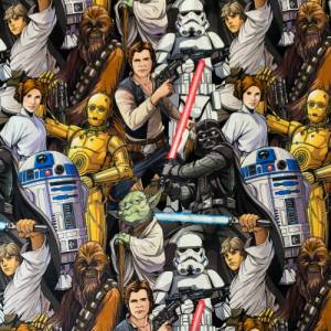 Star Wars Lizenzjersey Bild 1