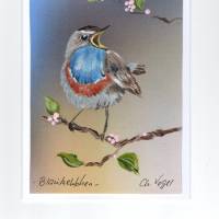 Grußkarte, Vogelporträt, Sammelkarte-  junges Blaukehlchen-   handgemalt Bild 1