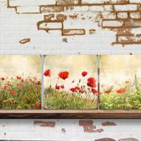 MOHNBLUMEN Blumenbilder Triptychon auf Leinwand Holz Print Wanddeko Landhausstil VintageStyle ShabbyChic handmade kaufen Bild 2