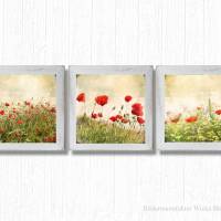 MOHNBLUMEN Blumenbilder Triptychon auf Leinwand Holz Print Wanddeko Landhausstil VintageStyle ShabbyChic handmade kaufen Bild 3