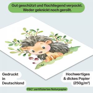 Süßes 6er Waldtier Poster-Set fürs Kinderzimmer I Schöne Babyzimmer Deko mit Bär, Fuchs, Igel und co. Bild 8