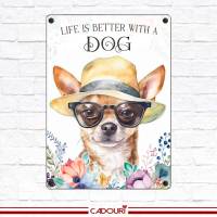 Hundeschild LIFE IS BETTER WITH A DOG mit Chihuahua Bild 2