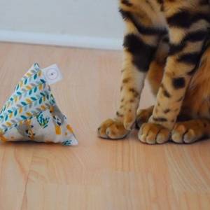 Pyramide Spielkissen für Katzen | Matatabi Silvervine Faultier Bild 1