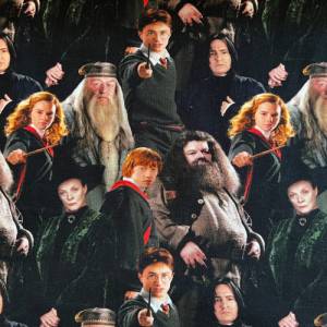 Lizenzjersey Harry Potter Bild 1