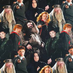 Lizenzjersey Harry Potter Bild 2