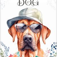 Hundeschild LIFE IS BETTER WITH A DOG mit Rhodesian Ridgeback Bild 1