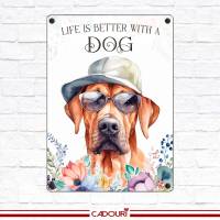 Hundeschild LIFE IS BETTER WITH A DOG mit Rhodesian Ridgeback Bild 2