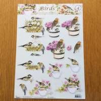3 D Bastelbogen Vögel zum Gestalten von Glückwunschkarten, DIN A 4 Bogen, Bordüren und Ranken Bild 2