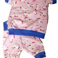 Pumphose, Shirt  SET  BW-Jersey  Einhorn Handarbeit Kinder Baby Bild 2
