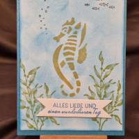 Seepferdchen - Geburtstagskarte - Alles Liebe und einen wunderbaren Tag Bild 1
