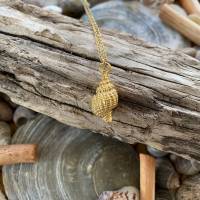 Muschel - Goldfarbene Halskette 60 cm aus Edelstahl mit Anhänger Muschel Bild 4