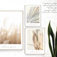 Boho Poster | nature pure | beige helle Motive | Palmen | Gräser | Pampas | Schilf | Sommer Bild 1