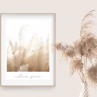 Boho Poster | nature pure | beige helle Motive | Palmen | Gräser | Pampas | Schilf | Sommer Bild 5