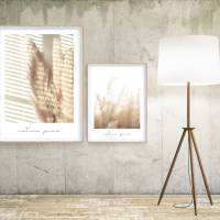 Boho Poster | nature pure | beige helle Motive | Palmen | Gräser | Pampas | Schilf | Sommer Bild 6