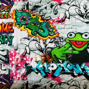 Jersey Graffiti Frosch Bild 1