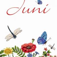 10 Postkarten Monatskarte Juni mit Sommerwiese, Mohnblumen, Schmetterlingen, Libellen Bild 1