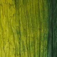 Seidenschal, handgefärbt chemiefrei mit Pflanzenfarben, 90 x 180 cm, Farbverlauf Grün Bild 1