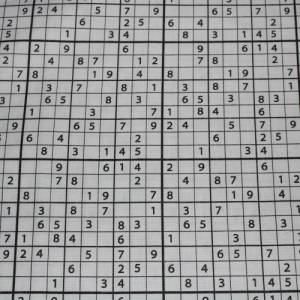 13,70 EUR/m Baumwollstoff Sudoku schwarz weiß Webware 100% Baumwolle Popeline Bild 6