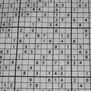 13,70 EUR/m Baumwollstoff Sudoku schwarz weiß Webware 100% Baumwolle Popeline Bild 7