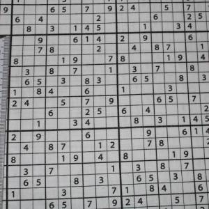 13,70 EUR/m Baumwollstoff Sudoku schwarz weiß Webware 100% Baumwolle Popeline Bild 8