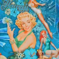 ♕ Jersey Panel Hawaii 50er Marilyn Stenzo Digital 200 x 150 cm ♕ Bild 1