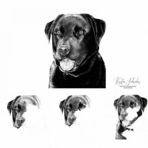 Tierzeichnung personalisiert, DIN A4, Tierportrait nach Foto, Hundezeichnung, Katzenzeichnung, handgezeichnetes Bild, Bl Bild 4