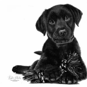 Tierzeichnung personalisiert, DIN A4, Tierportrait nach Foto, Hundezeichnung, Katzenzeichnung, handgezeichnetes Bild, Bl Bild 6