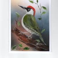 Grußkarte,  Sammelkarte, Vogelbild    -  Grünspecht-        handgemalt Bild 1