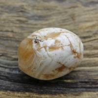 antike Stein-Perle aus der Sahara - gebänderter Achat, Karneol Bild 1