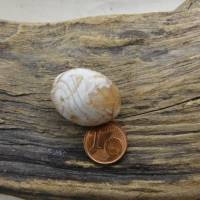 antike Stein-Perle aus der Sahara - gebänderter Achat, Karneol Bild 5