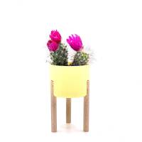 3er-Set Sukkulente und Kaktus Pflanztopf, Blumentopf auf Stelzen in über 50 Farben Bild 7