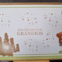 Bärchen - Geburtstagskarte - Die Karte beweist du bist Grandios - Landschaft und Sterne Bild 4