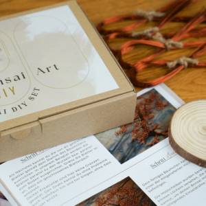 Bastelset Drahtbaum - Geschenkidee für Bastler - Material für ein Kunstwerk aus Draht inklusive Anleitung Bild 4