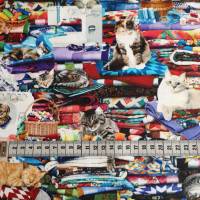 Patchworkstoff Katzen im Nähzimmer aus Baumwolle zum Nähen und Quilten Bild 2