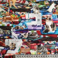 Patchworkstoff Katzen im Nähzimmer aus Baumwolle zum Nähen und Quilten Bild 3