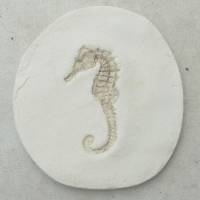 Replik eines Seepferdchens; Lebendes Fossil, Fisch, Fossilien, Abdruck, Replikat, Nachbildung Fliese Fliesen Wandfliese Bild 1