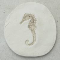 Replik eines Seepferdchens; Lebendes Fossil, Fisch, Fossilien, Abdruck, Replikat, Nachbildung Fliese Fliesen Wandfliese Bild 2