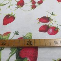 Dekostoff Ottomane bedruckt mit Erdbeeren auf Weiß (1m /12,00€) Bild 5