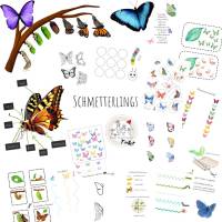 Toolkit: Schmetterling Bild 1