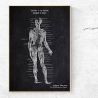 The Muscles No. 2 - Patent-Style - Anatomie Poster Bild 1