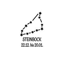 Bügelbild Sternzeichen Steinbock in Wunschfarbe Geburtstag Geschenk DIY Bild 1