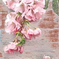 BLÜTENDIEB Bild Landhausstil auf Holz Leinwand Kunstdruck Wanddeko Frühling Kirschblüten VintageStyle ShabbyChic kaufen Bild 7