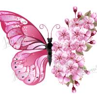 Bügelbild Schmetterling mit Blumen Rosa Bild 1