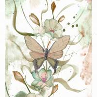 FLOWERS & BUTTERFLY Aquarell handgemalt Blüten Schmetterling Print Geschenkidee Poster online kaufen Bild 6