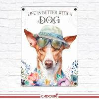 Hundeschild LIFE IS BETTER WITH A DOG mit Podenco Bild 2